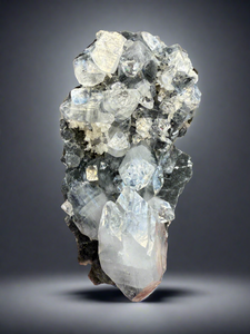Clear Gem Apophyllite Cluster on black matrix • Maharashtra, India