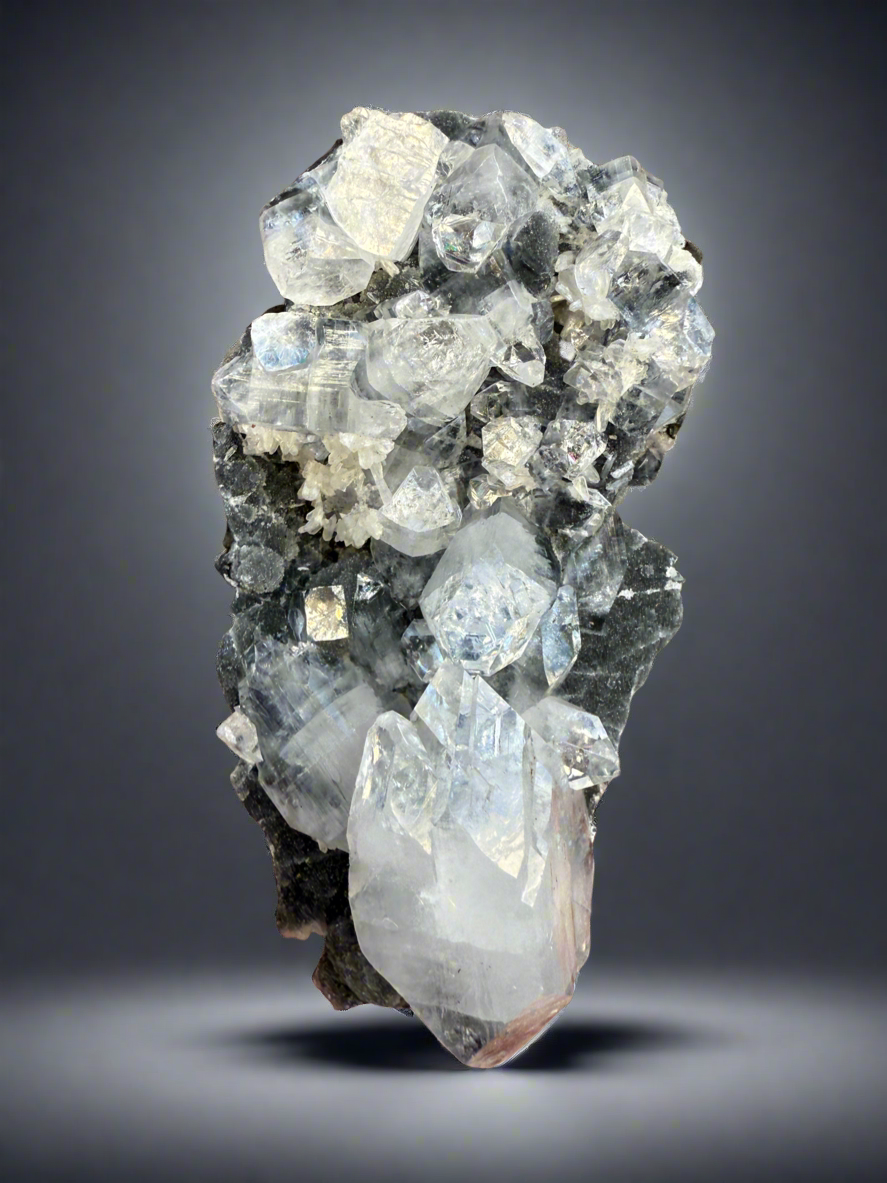 Clear Gem Apophyllite Cluster on black matrix • Maharashtra, India