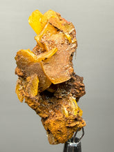 Load image into Gallery viewer, High-Grade Orange Wulfenite Collector Display Specimen | La Morita Mine, Chihuahua, Mexico
