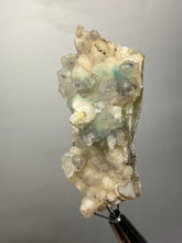 Load image into Gallery viewer, Blue-Green Chrysocolla in Botryoidal Chalcedony Cabinet Specimen | Indonesia

