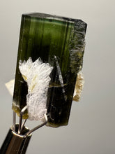 Load image into Gallery viewer, Green Cap Stak Nala Tourmaline with Cleavelandite – Haramosh Mountains, Pakistan | Thumbnail Specimen
