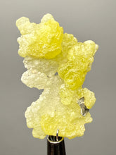 Load image into Gallery viewer, Vibrant Yellow Brucite Thumbnail Mineral Specimen | Collector Crystal from Killa Saifullah District in Balochistan Province, Pakistan
