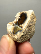 Load image into Gallery viewer, Premium Sumatra Agate (Banded Chalcedony) Display Specimen | Indonesia
