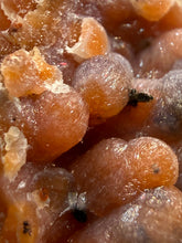 Load image into Gallery viewer, “Goblin Chalcedony” Pink &amp; Orange Druzy Botryoidal Stalactites— Tichka Massif, High Atlas, Morocco
