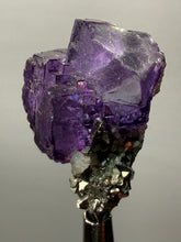 Load image into Gallery viewer, Cubic Fluorite Crystal Thumbnail Specimen | Chashan Mine, Chenzhou, Hunan, China | Collector Mineral Display
