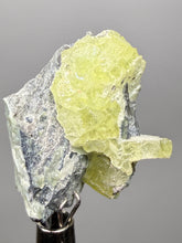 Load image into Gallery viewer, Vibrant Yellow Brucite Thumbnail Mineral Specimen | Collector Crystal from Killa Saifullah District in Balochistan Province, Pakistan
