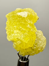Load image into Gallery viewer, Vibrant Yellow Brucite Thumbnail Mineral Specimen | Collector Crystal from Killa Saifullah District in Balochistan Province, Pakistan
