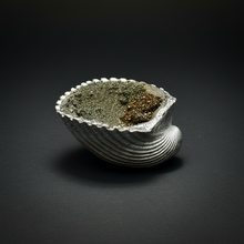 Load image into Gallery viewer, Bivalve (Pelecypoda) Fossil Sea Shell with Chalcopyrite | Mineralized Fossil Specimen | Indonesia
