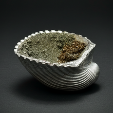 Load image into Gallery viewer, Bivalve (Pelecypoda) Fossil Sea Shell with Chalcopyrite | Mineralized Fossil Specimen | Indonesia
