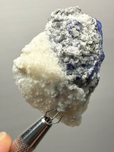 Load image into Gallery viewer, Afghanite &amp; Lazurite on Matrix Collector Display Specimen | Badakhshan Region, Afghanistan
