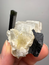 Load image into Gallery viewer, Dark Green Cap Stak Nala Tourmaline on Cleavelandite Matrix – Haramosh Mountains, Pakistan
