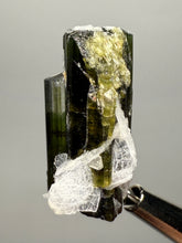 Load image into Gallery viewer, Green Cap Stak Nala Tourmaline with Cleavelandite – Haramosh Mountains, Pakistan | Thumbnail Specimen
