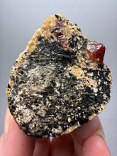 Load image into Gallery viewer, Naturally Faceted Zircon Crystal on Pegmatite–Biotite Matrix • Pakistan Mineral Specimen
