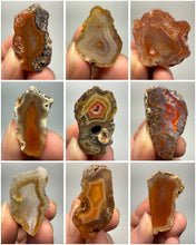 Load image into Gallery viewer, Lot of 9 Small Malawi Agate Halves – Polished Rare Colorful Collector Specimens
