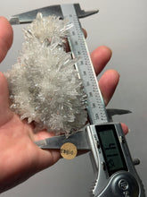 Load image into Gallery viewer, High-Grade Chrysanthemum Quartz (Needle Quartz) Spray Cluster | Jiangxi, China
