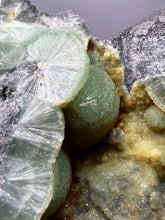 Load image into Gallery viewer, High-Grade Green Wavellite Collectors Specimen - Radiating Botryoidal Crystal Formation - Arkansas, USA
