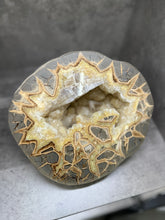 Load image into Gallery viewer, Septarian Nodule with Golden Barite Gems from Utah
