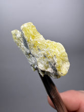 Load image into Gallery viewer, Vibrant Yellow Brucite Thumbnail Mineral Specimen | Collector Crystal from Killa Saifullah District in Balochistan Province, Pakistan
