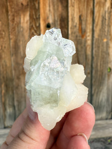 Light Mint Green Radial Apophyllite + White Stilbite • Maharashtra, India