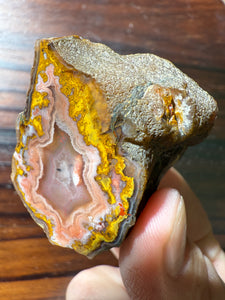Rare Moroccan Pink & Yellow Plume Agate Collected by Indigenous Nomads | Ancient Beauty from the Sahara