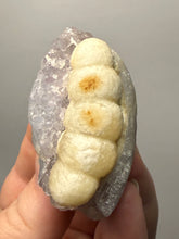 Load image into Gallery viewer, Rare Botryoidal Yellow Fluorite on Quartz Matrix  Collector Mineral Specimen – Maharashtra, India
