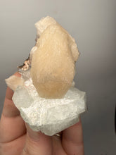 Load image into Gallery viewer, High-Grade Apophyllite on Pink Stilbite Zeolite | Indian Collector Mineral Specimen
