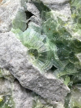 Load image into Gallery viewer, High-Grade Green Wavellite Collectors Specimen - Radiating Botryoidal Crystal Formation - Arkansas, USA
