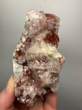 Load image into Gallery viewer, Rare Red + Green Apophyllite Crystal Cluster – High Grade Collector Mineral Specimen | India
