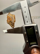 Load image into Gallery viewer, Polished Malawi Agate Half – High-Grade African Banded Agate Display Specimen
