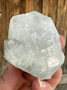 Large Sage Green Garden Apophyllite • Maharashtra, India