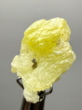 Load image into Gallery viewer, Vibrant Yellow Brucite Thumbnail Mineral Specimen | Collector Crystal from Killa Saifullah District in Balochistan Province, Pakistan
