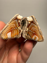 Load image into Gallery viewer, High-Grade Indonesian Sumatra Agate Pair – Vibrant Banded Chalcedony with Rich Color Zoning | Ethical Lapidary &amp; Collector Display Specimens
