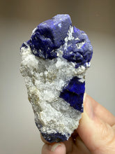 Load image into Gallery viewer, Afghan Lazurite Specimen | Deep Blue Lapis-Grade Crystal on Matrix | Collector Display Mineral
