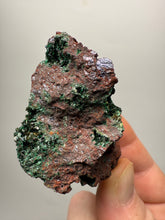 Load image into Gallery viewer, Brochantite Collector Mineral Specimen – Vivid Green Copper Crystals from Morocco
