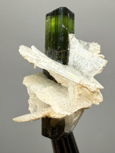 Load image into Gallery viewer, Dark Green Stak Nala Tourmaline and Cleavelandite – Haramosh Mountains, Pakistan | Thumbnail Specimen
