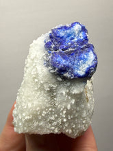 Load image into Gallery viewer, Afghanite &amp; Lazurite on Matrix Collector Display Specimen | Badakhshan Region, Afghanistan
