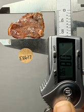 Load image into Gallery viewer, Sunset Goblin Chalcedony Botryoidal Stalactite | Sidi Rahal, Morocco (Western Sahara) Mineral Display Specimen
