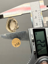 Load image into Gallery viewer, Bivalve (Pelecypoda) Fossil Sea Shell with Chalcopyrite | Mineralized Fossil Specimen | Indonesia
