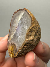 Load image into Gallery viewer, Natural Laguna Agate Collector Mineral Specimen | Chihuahua, Mexico
