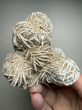 Load image into Gallery viewer, Desert Rose Selenite (Gypsum) — Mineral Display Specimen | Mexico
