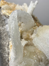 Load image into Gallery viewer, Moroccan Ram’s Horn Selenite (Gypsum) Crystal Display Specimen
