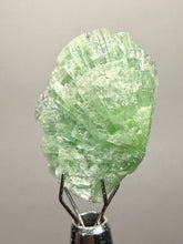 Load image into Gallery viewer, Green Radial “Disco Ball” Apophyllite | Maharashtra, India

