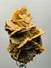 Load image into Gallery viewer, High-Grade Orange Wulfenite Collector Display Specimen | La Morita Mine, Chihuahua, Mexico

