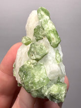 Load image into Gallery viewer, Electric Green Diopside on Quartz – Collector Mineral Specimen (Gilgit-Baltistan) Pakistan
