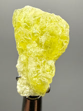 Load image into Gallery viewer, Vibrant Yellow Brucite Thumbnail Mineral Specimen | Collector Crystal from Killa Saifullah District in Balochistan Province, Pakistan
