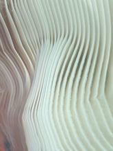 Load image into Gallery viewer, Rare Moroccan White Agate w Incredible Parallax Collected by Indigenous Nomads | Ancient Beauty from the Sahara
