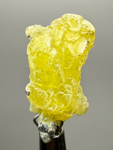 Load image into Gallery viewer, Vibrant Yellow Brucite Thumbnail Mineral Specimen | Collector Crystal from Killa Saifullah District in Balochistan Province, Pakistan
