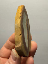 Load image into Gallery viewer, Stromatolite Fossil Slice | Ancient Microbial Reef Structure | Morocco
