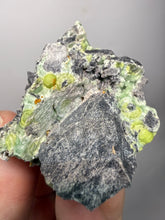 Load image into Gallery viewer, High-Grade Green Wavellite Collectors Specimen - Radiating Botryoidal Crystal Formation - Arkansas, USA
