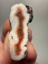 Load image into Gallery viewer, Lot of 4 Small Malawi Agate Halves – Polished Rare Colorful Collector Specimens
